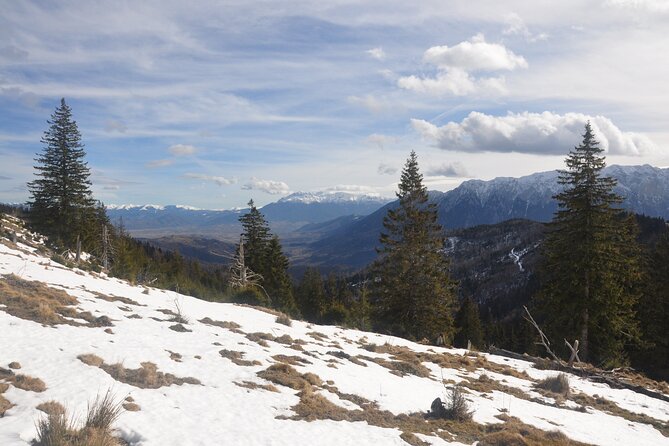 Hike in the Wild Private Photo Tour - Carpathian Views From the Taga Mountains Sector