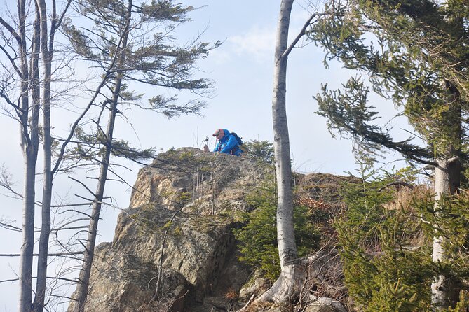 Hike in the Wild Private Photo Tour - The Brasov Morning Drive, and Why the Timing Matters