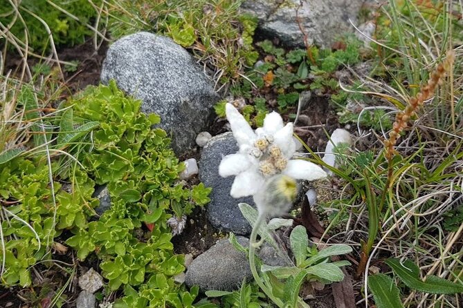 Hiking in Bucegi Mountains in the Carpathians, Private tour - Guides, Routes, and the Little Things That Make or Break the Day