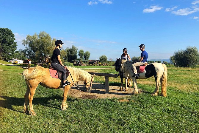 Horseback Riding Tour In Brasov - Ride Through Fields, Forests & Hills - Key Highlights You’ll Feel Right Away