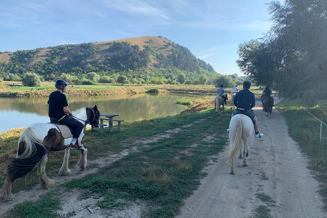 Horseback Riding Tour In Brasov - Ride Through Fields, Forests & Hills - Why This Brasov Horse Ride Feels Like Rural Romania