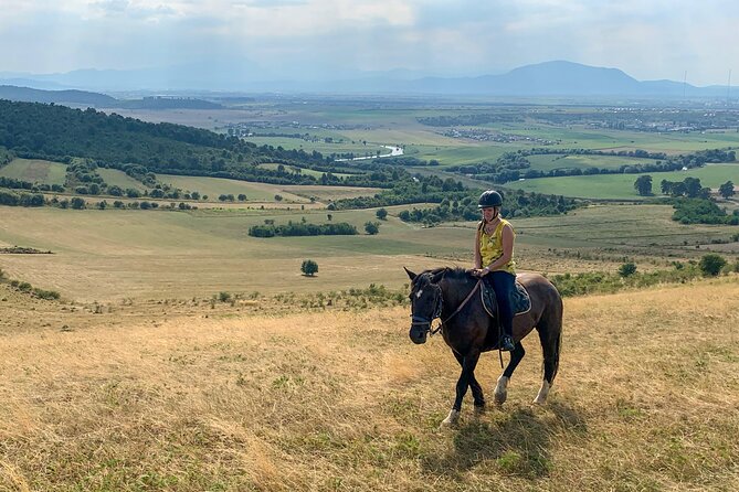 Horseback Riding Tour In Brasov - Ride Through Fields, Forests & Hills - Your 1-Hour Ride Through Fields, Forest Paths, and Hills