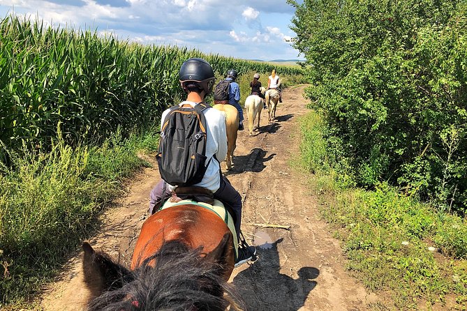 Horseback Riding Tour In Brasov - Ride Through Fields, Forests & Hills - Ranch Time After the Ride: Stables Access You’ll Actually Enjoy