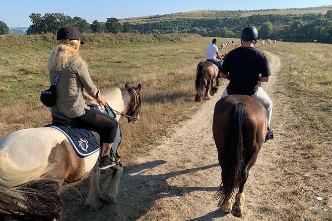 Horseback Riding Tour In Brasov - Ride Through Fields, Forests & Hills - Extra Riding Time and Optional Lunch: How to Customize Your Day