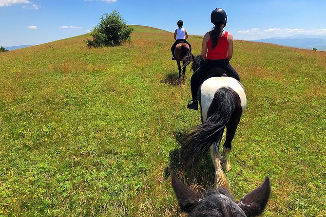 Horseback Riding Tour In Brasov - Ride Through Fields, Forests & Hills - Price and Value: Is $144.57 Worth It?