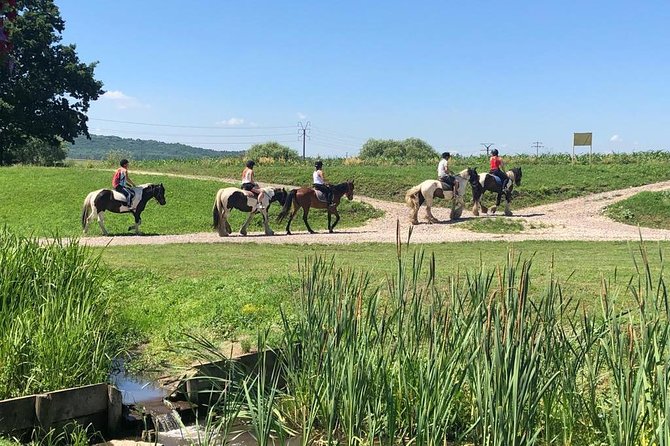 Horseback Riding Tour In Brasov - Ride Through Fields, Forests & Hills - Getting Matched to Your Horse Before You Ever Mount