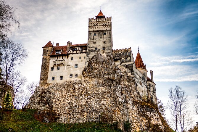 Legends&Wildlife Awaits: Dracula's Castle & Bear Sanctuary - Why This 7 to 8 Hour Day Turns Transylvania Into Two Stories