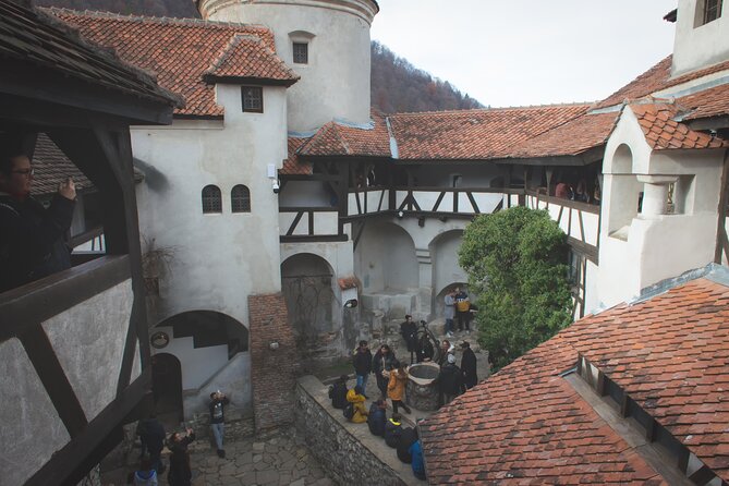 Legends&Wildlife Awaits: Dracula's Castle & Bear Sanctuary - Stop 1: Libearty Bear Sanctuary Zarnesti, What You’ll See and How to Enjoy It