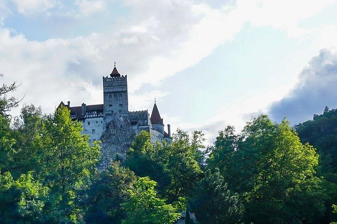 Libearty Bear Sanctuary and Dracula's Castle - Day Tour from Bucharest - Guide and Group Size: Why the Day Can Feel Smooth