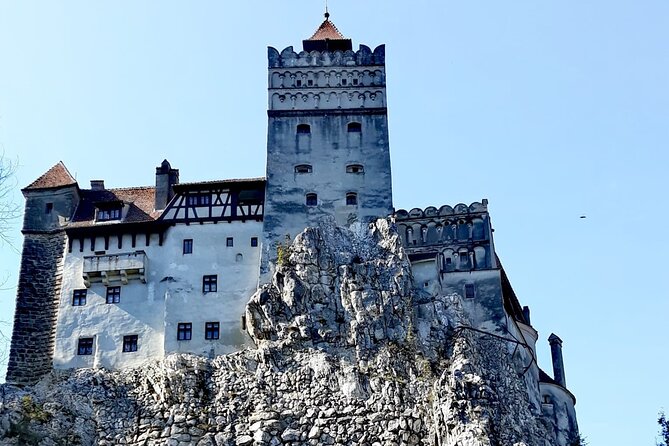 Libearty Bear Sanctuary and Dracula's Castle - Day Tour from Bucharest - Timing, Crowds, and How to Make the Most of 8 to 10 Hours