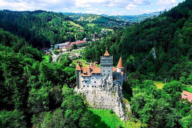 Libearty Bear Sanctuary and Dracula's Castle - Day Tour from Bucharest - Who This Tour Is Best For (and Who Might Skip It)