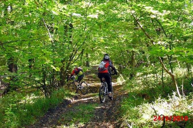 Mountain Bike Day Tour around Brasov - Saddle Up in Poiana Brasov