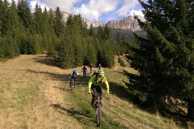 Mountain Bike Day Tour around Brasov - Riding Through Forest Roads and Brasov’s Countryside Feel