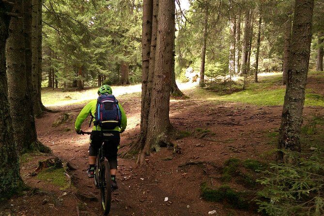 Mountain Bike Day Tour around Brasov - Weather Reality in the Carpathian Foothills