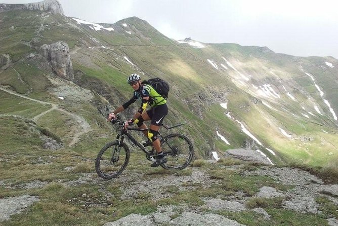 Mountain Bike Day Tour around Brasov - Choosing Your Route, From Easy Downhill to Evening Grit