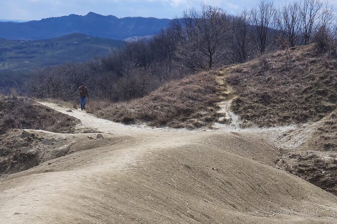 Muddy Volcanoes and Salt Mine Private Full-Day Tour from Bucharest - Should You Book This Private Mud Volcanoes and Salt Mine Day Trip?