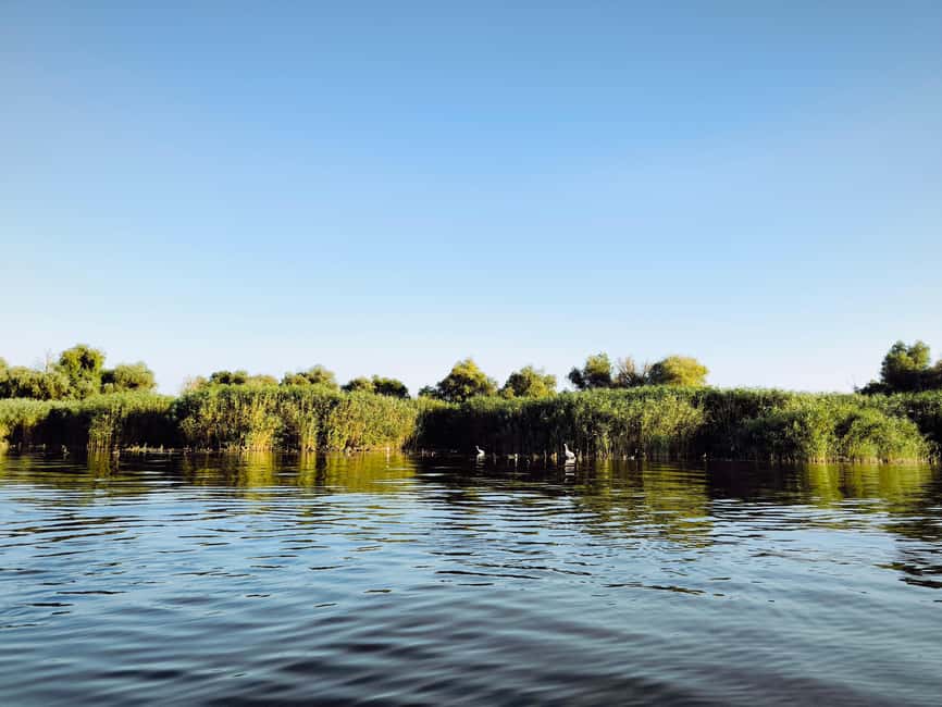 Murighiol: Danube Delta Guided Boat Tour - Murighiol departure and what the 3-hour tour is really like