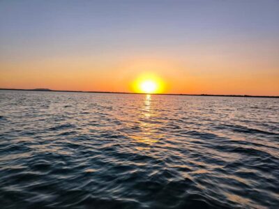Murighiol: Danube Delta Guided Boat Tour