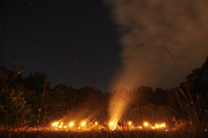 Night Tour in Hoia Baciu Forest - Why Hoia Baciu feels different after dark