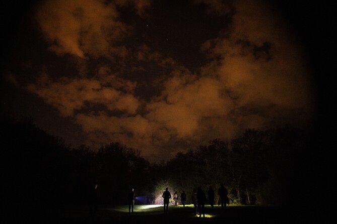 Night Tour in Hoia Baciu Forest - Cluj pick-up and drop-off, and what private touring really buys you