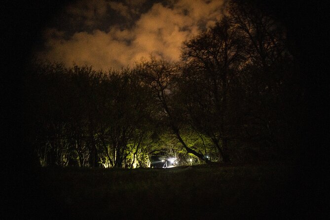 Night Tour in Hoia Baciu Forest - Stop-by-stop: what you experience at Hoia Baciu Forest
