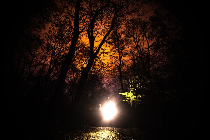 Night Tour in Hoia Baciu Forest - Walking 3.5 km toward Poiana Rotunda, the Round Clearing