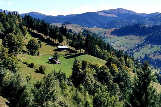 Off Road Adventures in Wild Carpathians - 5 Days - Day 4: Vama Buzaului waterfall, Tabla Buții Plateau of Barrels, then sheepfold cheese