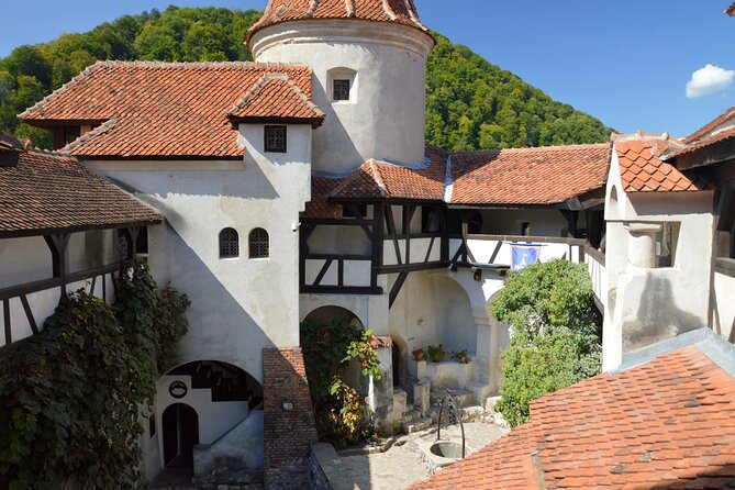 One Day Private Tour to Peles and Dracula Castles & Brasov City - Hotel pickup and the reality of a long road day