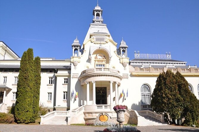 One Day Private Tour to Peles and Dracula Castles & Brasov City - Brasov in two hours: medieval feel, mountain views, and where lunch fits