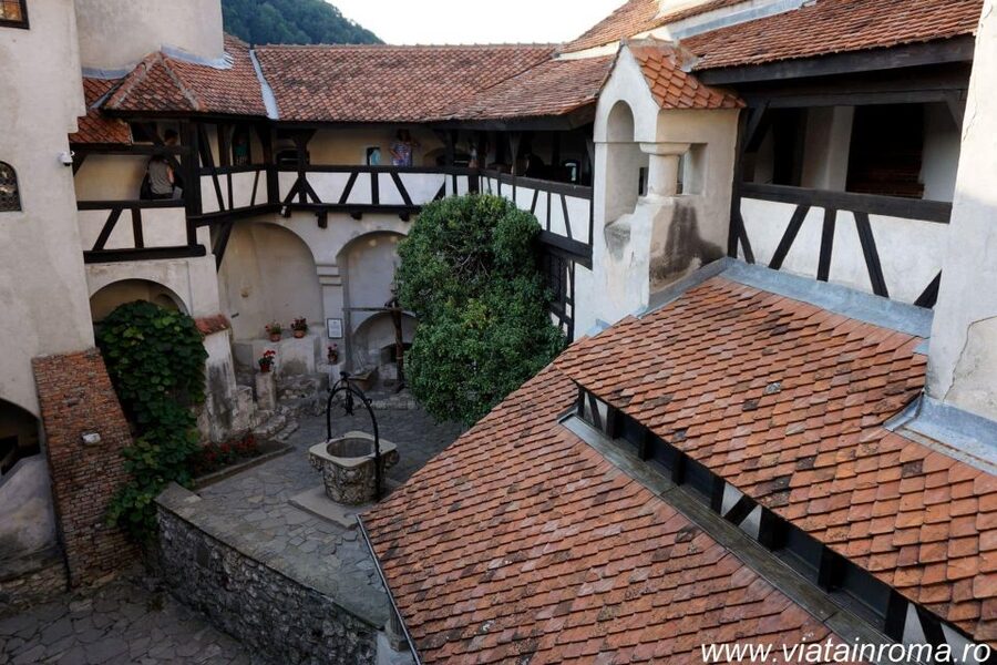One day trip Bear Sanctuary, Dracula Castle - Price and tickets: the real cost in your hands