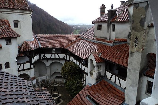 One day trip Bear Sanctuary, Dracula Castle, Rasnov Fortress from Brasov - Your Guide and the Small-Group Advantage in Practice