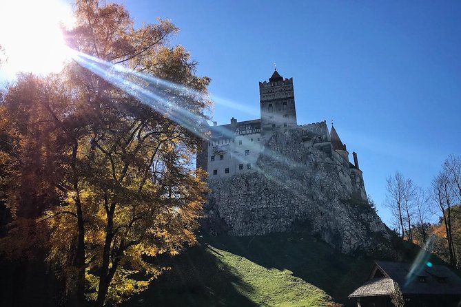 One day trip Bear Sanctuary, Dracula Castle, Rasnov Fortress from Brasov - Practical Tips That Save You Stress (and Foot Pain)