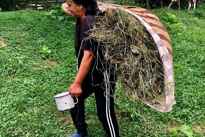 Original Carpathian Village Experience and Sinaia in one day tour - A Fast One-Day Route: Transylvanian Villages, Peles, and Sinaia Views
