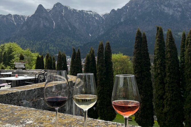 Peles & Cantacuzino Castles: Gourmet Wine & Cultural Day trip - Guides and English Commentary: What Makes the Day Click