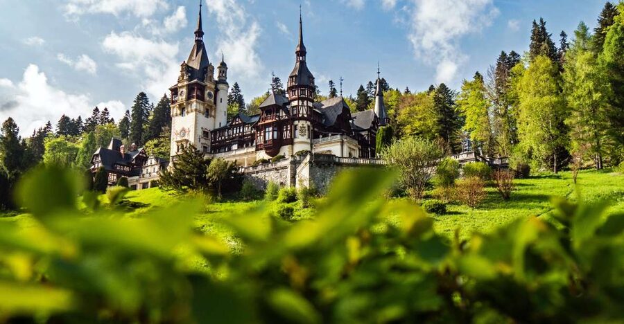 Peles & Cantacuzino Castles: Gourmet Wine & Cultural trip - Key highlights you will feel on this trip