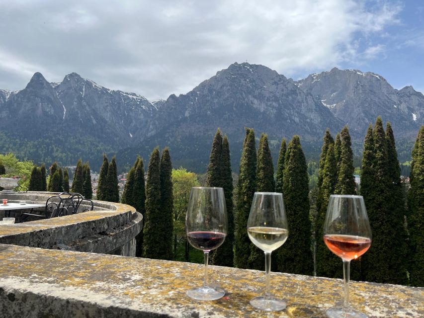 Peles & Cantacuzino Castles: Gourmet Wine & Cultural trip - Should you book? My practical take