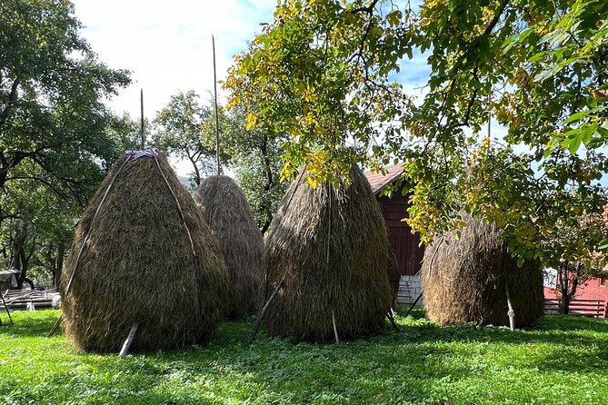 Peles castle and authentic Romanian village experience - day trip - Secaria village: the lunch, the cheese, and why meeting locals feels different