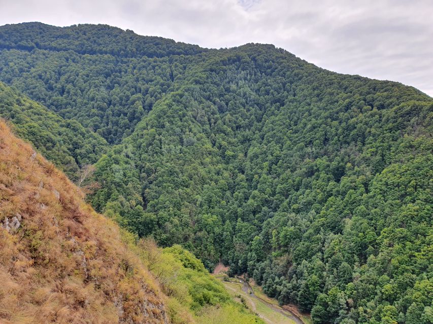 Peleș Castle, Bran Castles and Brasov City - Private Tour - Mount Tampa Natural Park Views, Including Postăvaru Peak