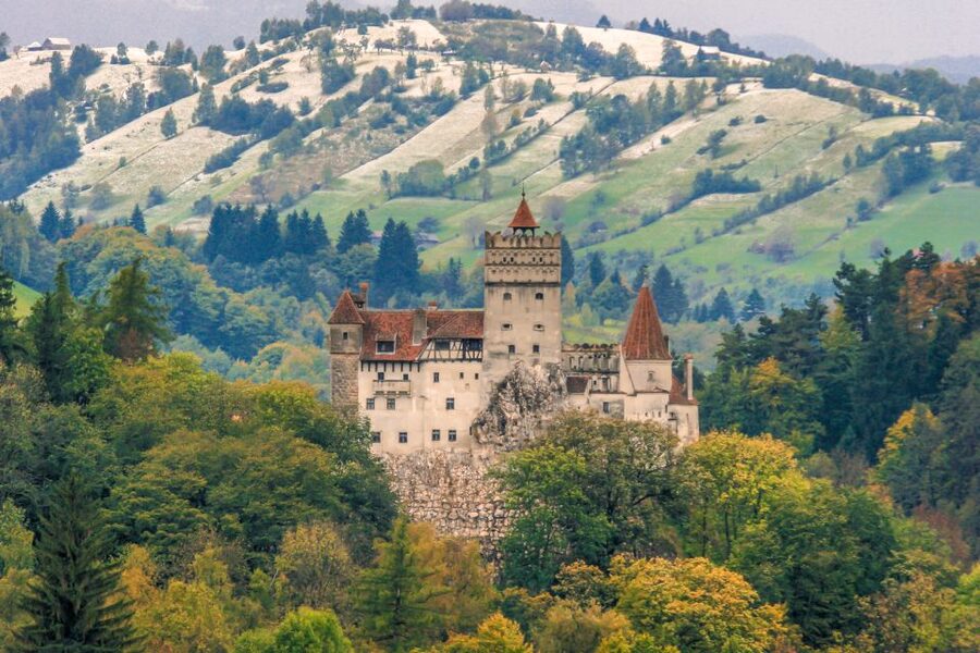 Peles, Dracula's Castles & Brasov: Private Day Trip & Pickup - What You Pay for: Tickets, Lunch, and Getting Realistic