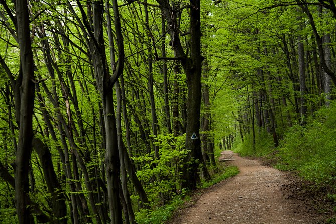 Perfect bike tour around Brasov - Key highlights you should know