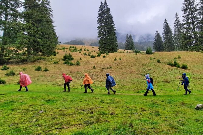 Pestera and Magura Full-Day Private Walking Tour from Brasov - Key Things You Should Know Before You Go