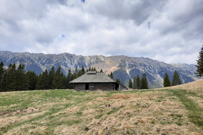 Pestera and Magura Full-Day Private Walking Tour from Brasov - What the Trail Feels Like, Distance, Elevation, and Safety