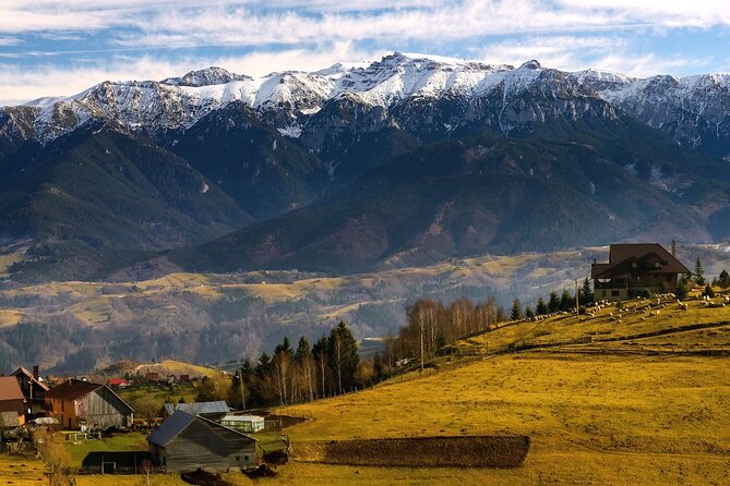 Pestera and Magura Full-Day Private Walking Tour from Brasov - Guide Quality and Private Pace, Including Ramona’s Style