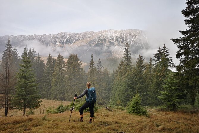 Pestera and Magura Full-Day Private Walking Tour from Brasov - Transport From Brasov: Comfort, Timing, and Not Wrestling With Routes