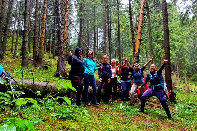 Pestera and Magura Full-Day Private Walking Tour from Brasov - What to Bring: The Gear That Actually Makes This Hike Enjoyable
