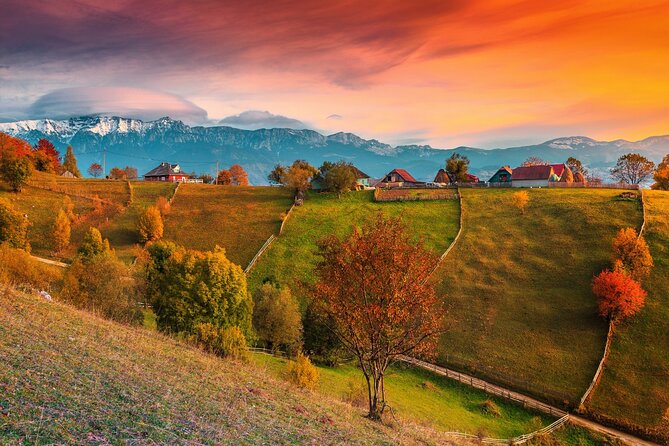 Pestera and Magura Full-Day Private Walking Tour from Brasov - The 8:30 AM Start, and How the Day Actually Flows