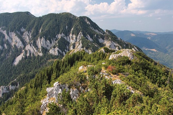 Piatra Craiului National Park Private Hiking Tour from Brasov - Choosing your route: weather and ability decide the plan
