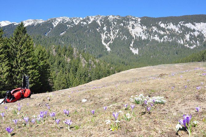 Piatra Craiului National Park Private Hiking Tour from Brasov - What the hike is like: steep climbs, rocky steps, and good guidance