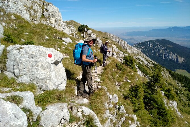 Piatra Craiului National Park Private Hiking Tour from Brasov - Lunch stop and shepherd country: where the day slows down