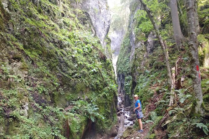 Piatra Craiului National Park Private Hiking Tour from Brasov - Price and value: what $126.98 gets you, plus the small extras